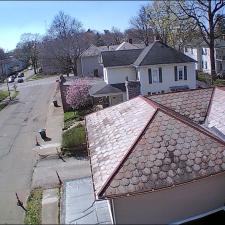 Slate Roof Cleaning 2